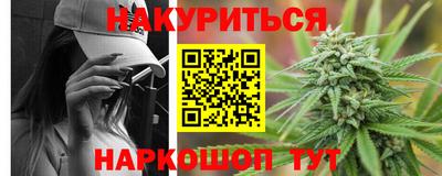 стаф Можга