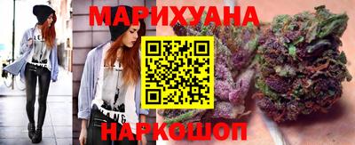 стаф Можга