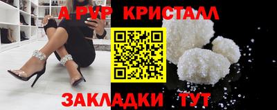 стаф Можга