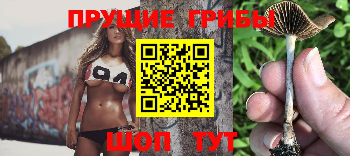 Галлюциногенные грибы ЛСД  Вход с VPN  Грязи 